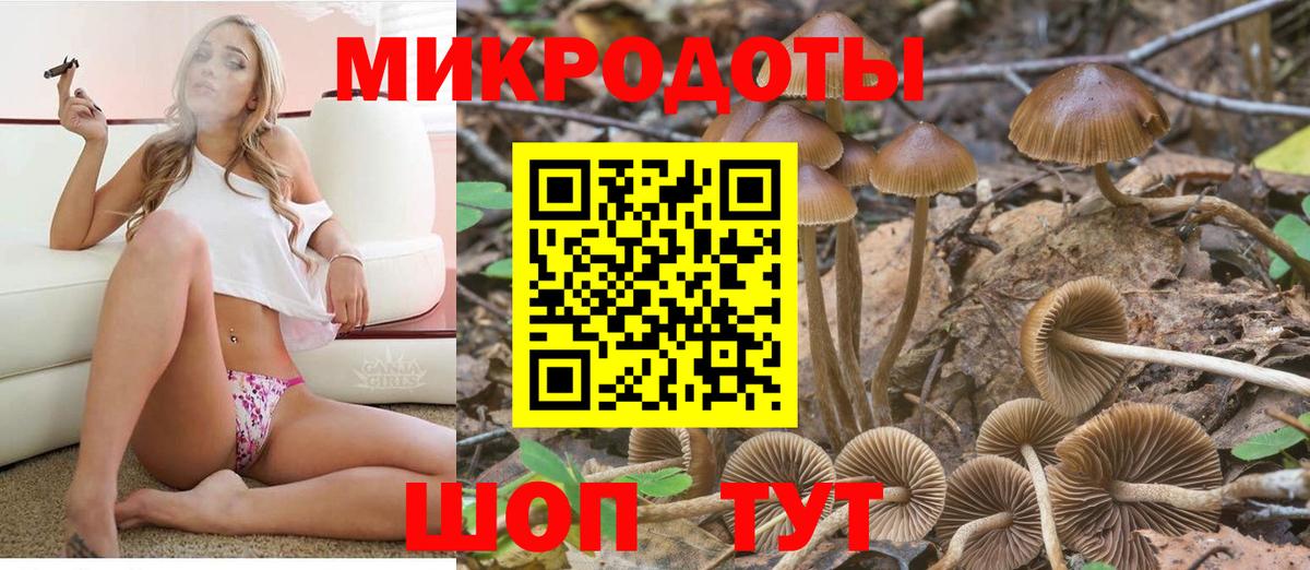 Псилоцибиновые грибы прущие грибы  Вход с VPN  сколько стоит  Можга 