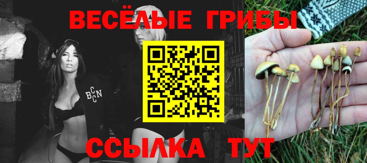 Псилоцибиновые грибы Magic Shrooms Можга
