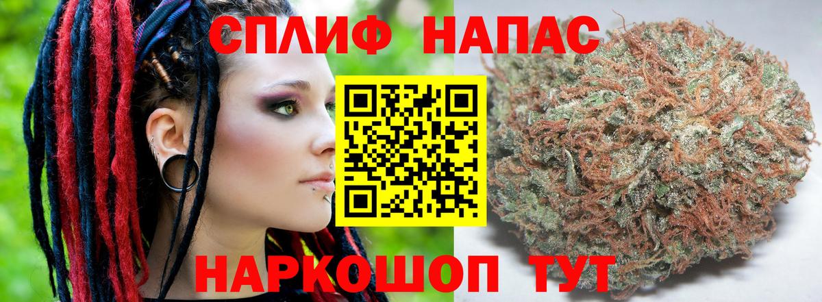Бошки Шишки индика Можга
